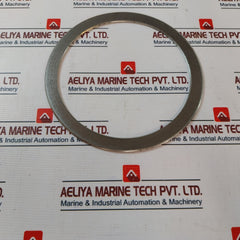 Nichias 1804Gr F/900Lb-6B Globe Angle Gasket Check Valve
