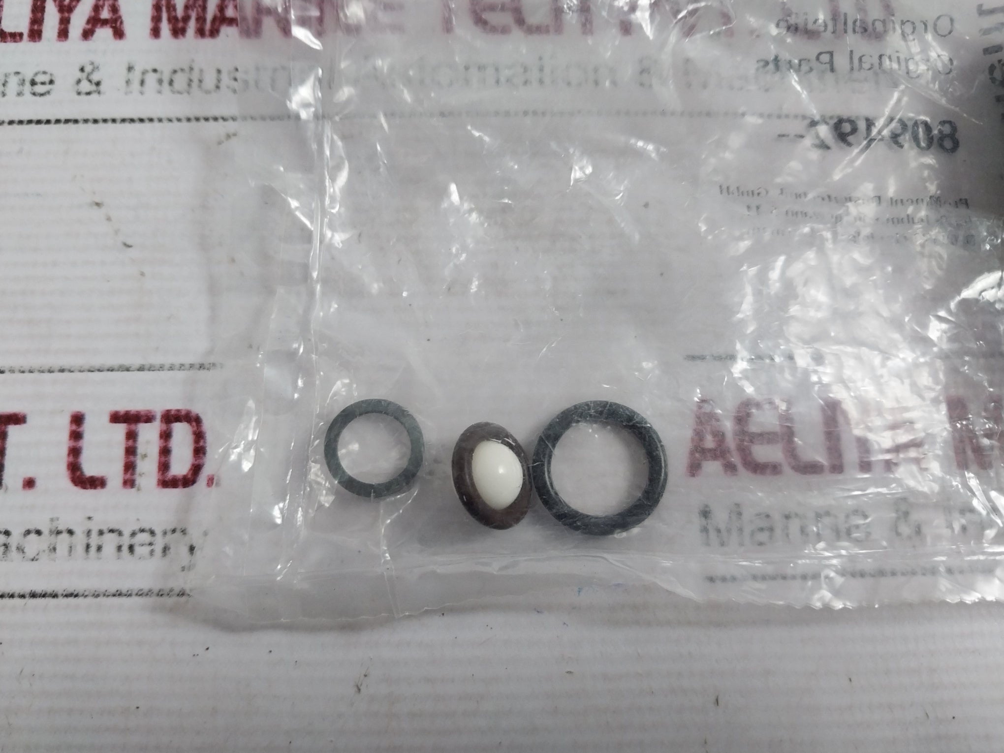 Prominent 809492 Dosing Pump Service Kit
