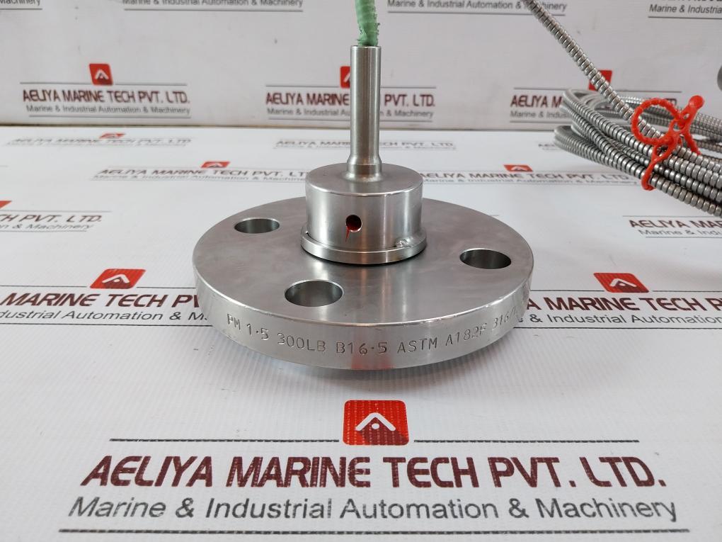 50049716C202 Ek26 Diaphragm Seal Pressure Transmitter Assy 4K640 Dc704 6.1 Meter