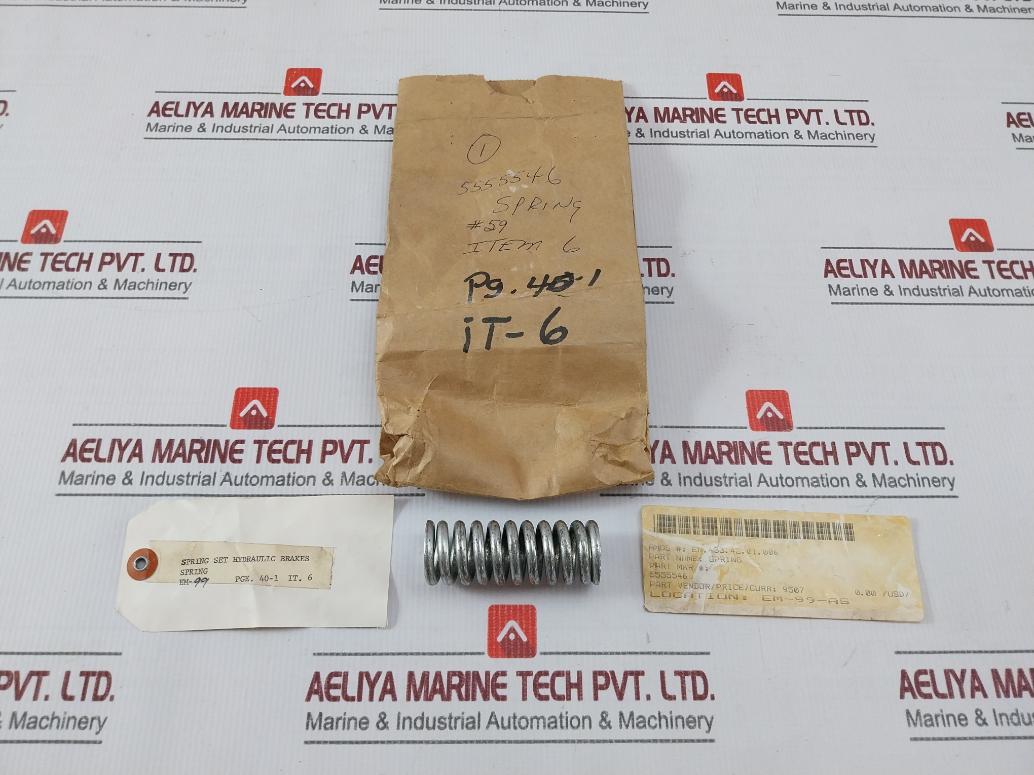 5555546 Hydraulic Brakes Spring