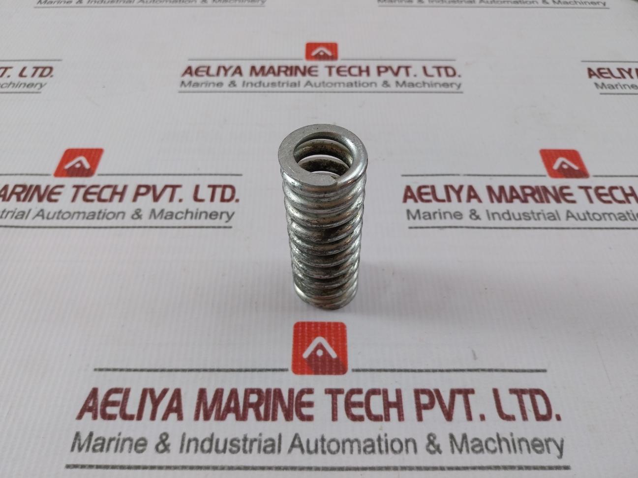 5555546 Hydraulic Brakes Spring