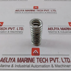 5555546 Hydraulic Brakes Spring