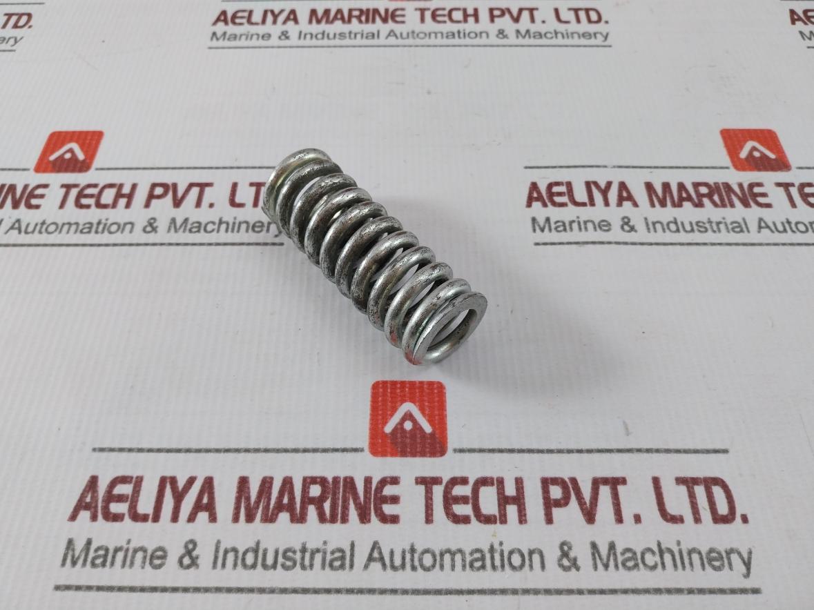 5555546 Hydraulic Brakes Spring