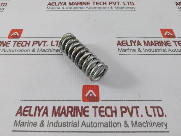 5555546 Hydraulic Brakes Spring