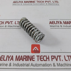 5555546 Hydraulic Brakes Spring