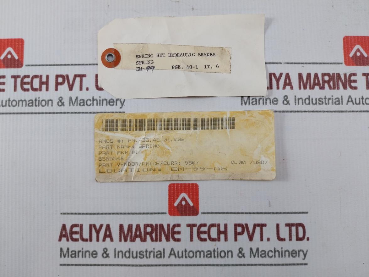 5555546 Hydraulic Brakes Spring