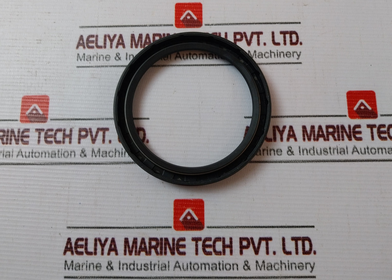 Aker 80X100X10 DIN 3760 Rotary Shaft Seal BA0046791