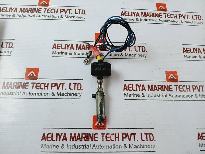 6540830010 Ai 5613 High-voltage Ignition Coil/Electrode Assembly Module