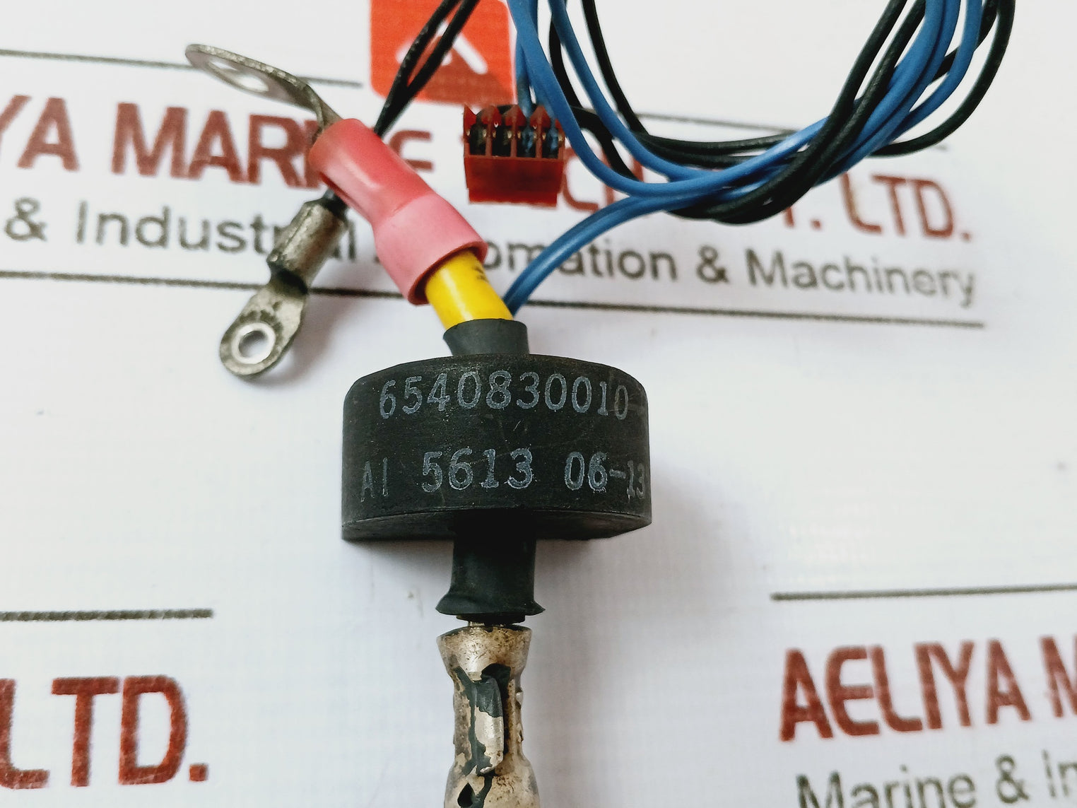 6540830010 Ai 5613 High-voltage Ignition Coil/Electrode Assembly Module