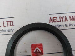 60 100 10 Seal Oil