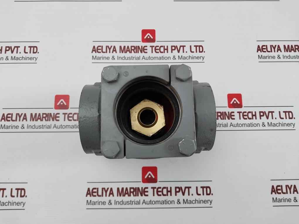 70765 9061 Check Valve