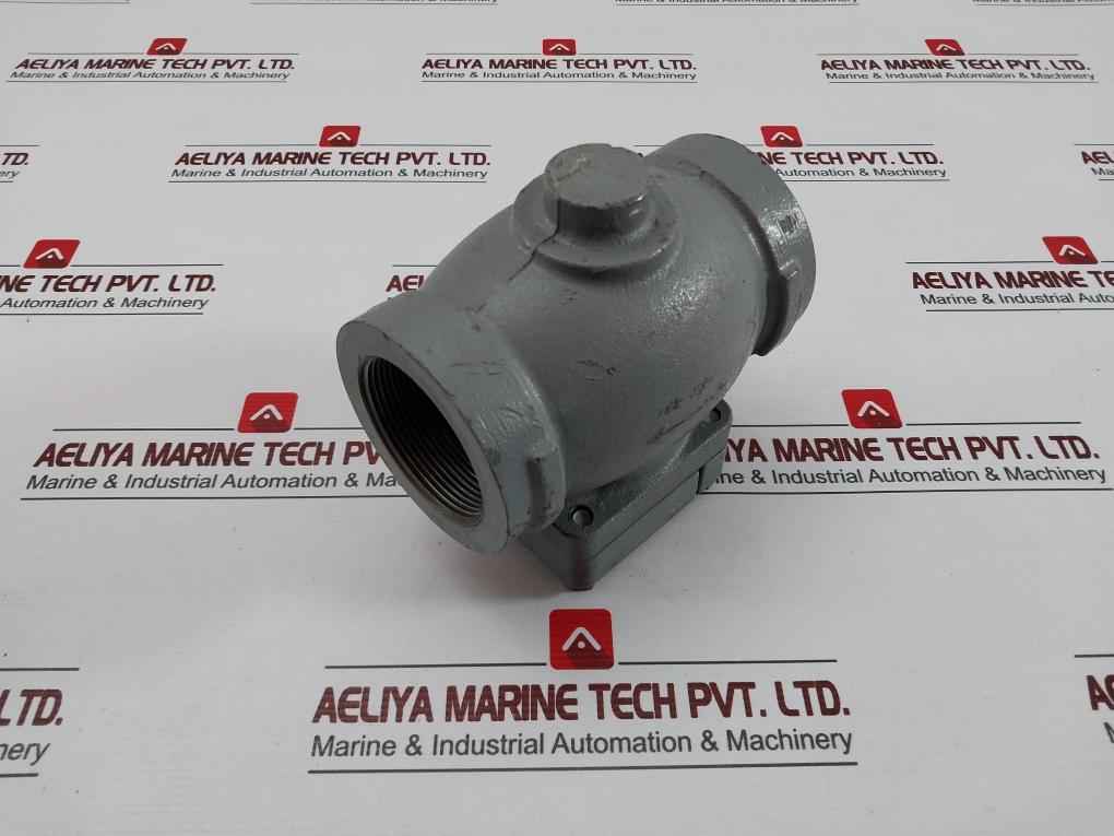 70765 9061 Check Valve