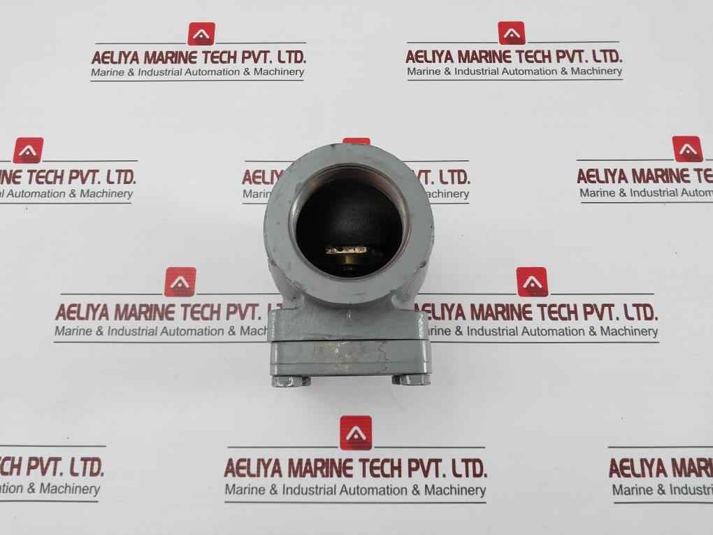 70765 9061 Check Valve