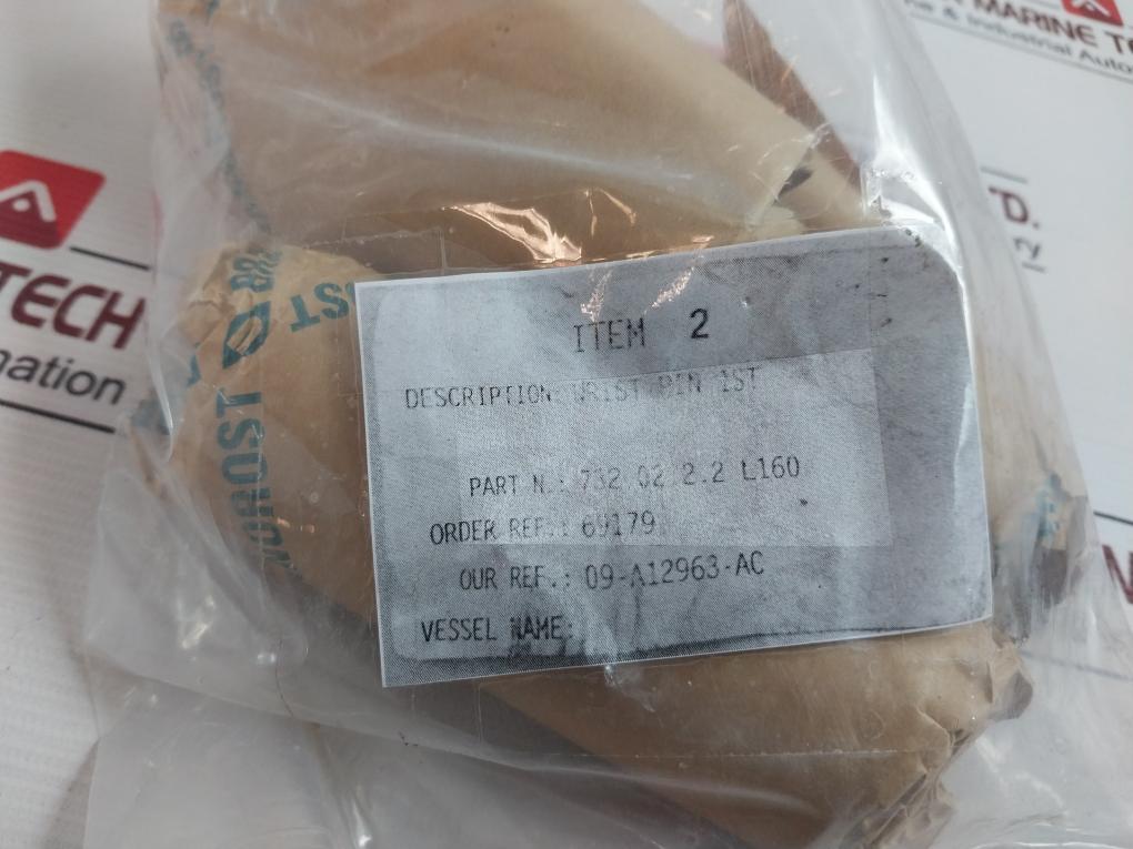 732.02.2.2 L160 Wrist Pin 1St 69179