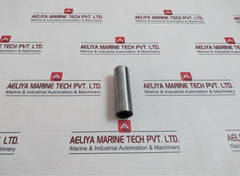 732.02.2.2 L160 Wrist Pin 69179