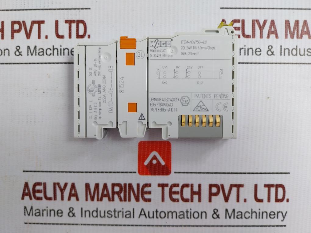750-421-2-channel-Digital-I-O-Module-Wago-24-Vdc-209383-2