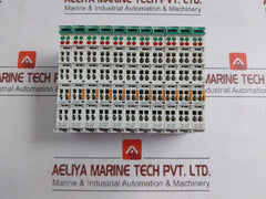 750-473-005-000-Analog-Input-Module-Wago-24V-Dc-209380-9