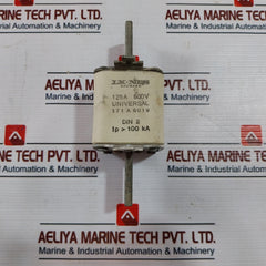 Lk-nes 171A6019 Fuse Universal 125A 500V