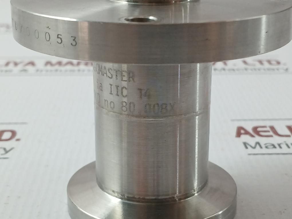 80-008X Flange-type Diaphragm Seal With A Diaphragm Extension Cargomaster