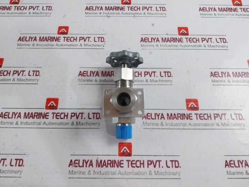 843825 Needle Valve