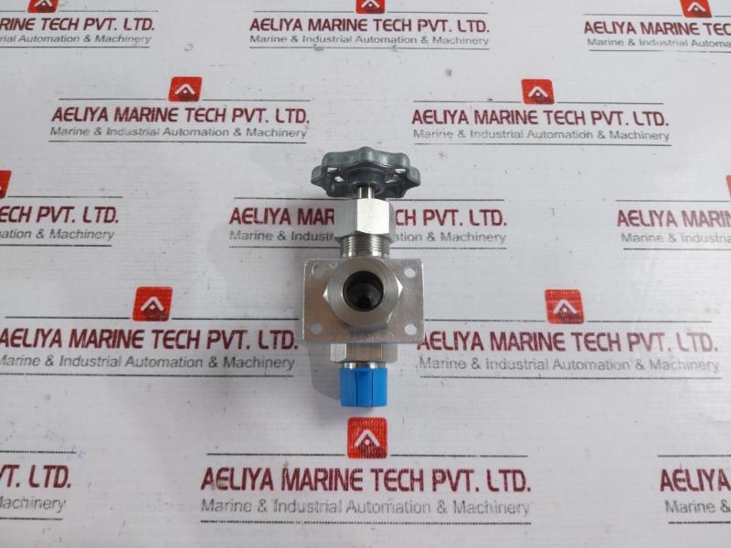 843825 Needle Valve BD302511