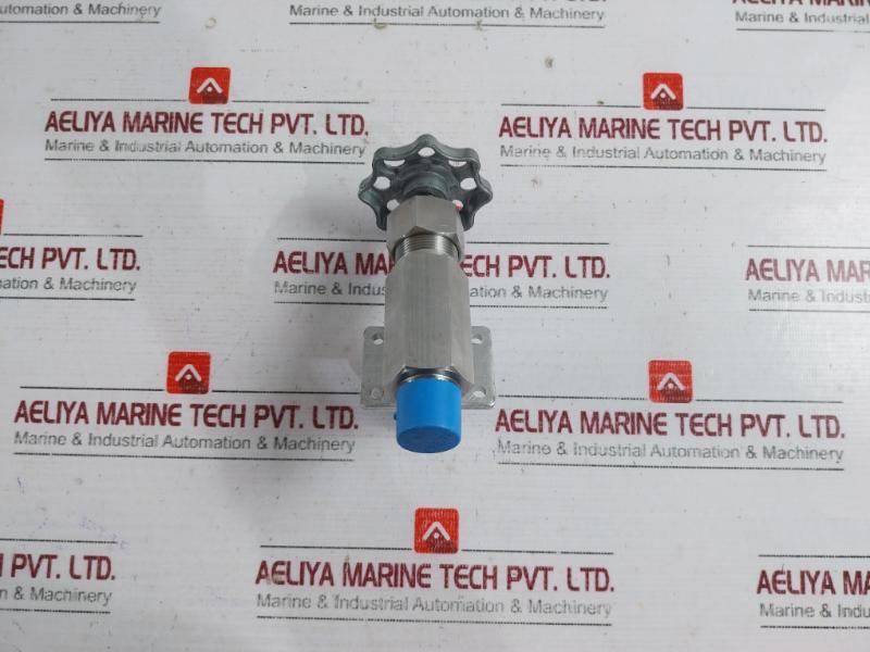 843825 Needle Valve