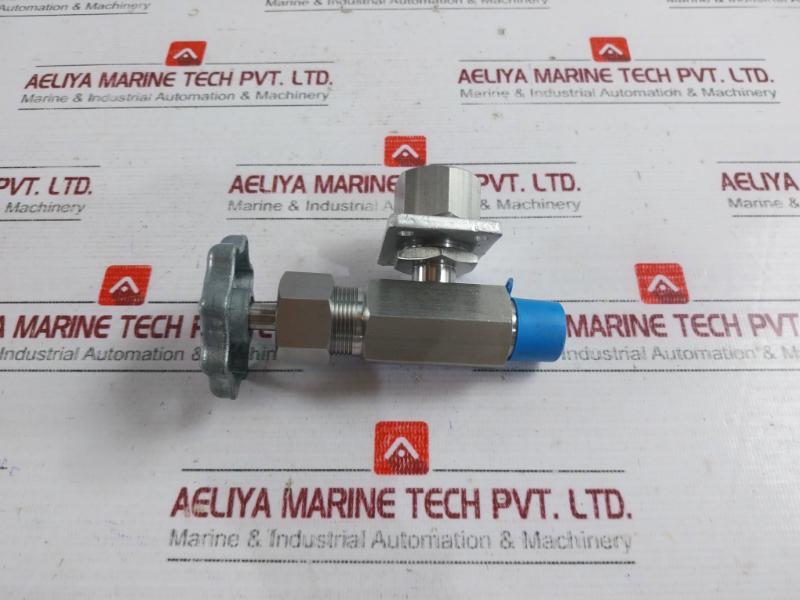 843825 Needle Valve