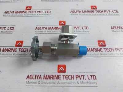 843825 Needle Valve BD302511