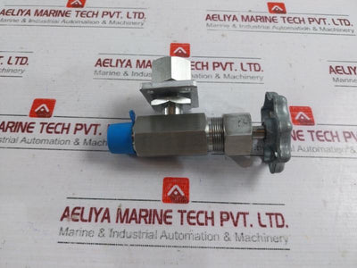 843825 Needle Valve BD302511