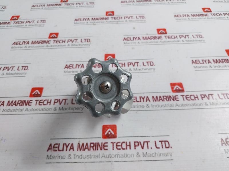 843825 Needle Valve BD302511