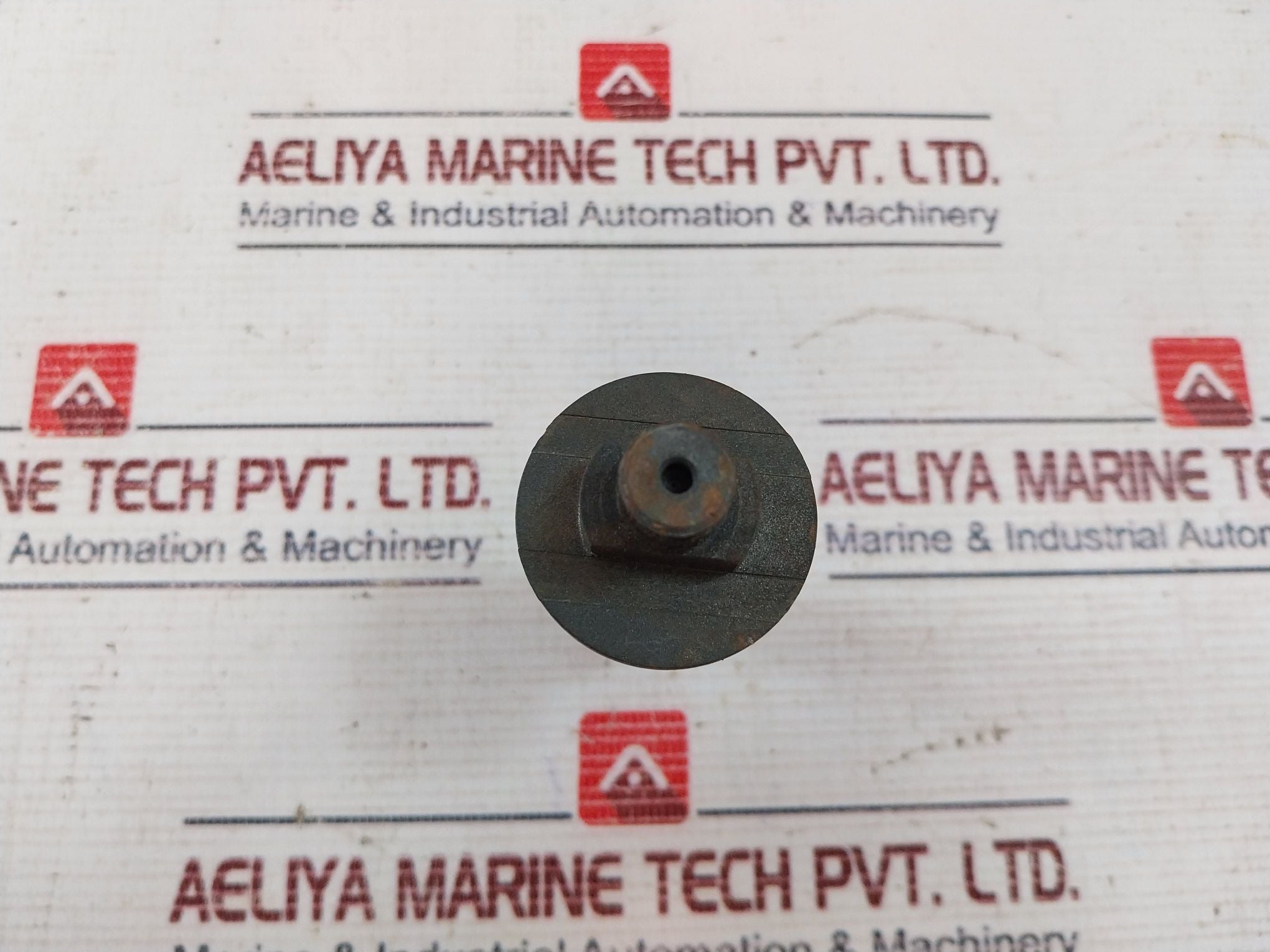 Roger 380901 Bolt Sv1581 100 010, 0674126 103