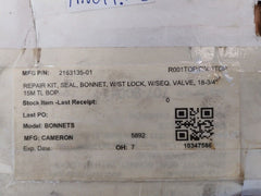 Cameron 2163135-01 Seal Repair Kit