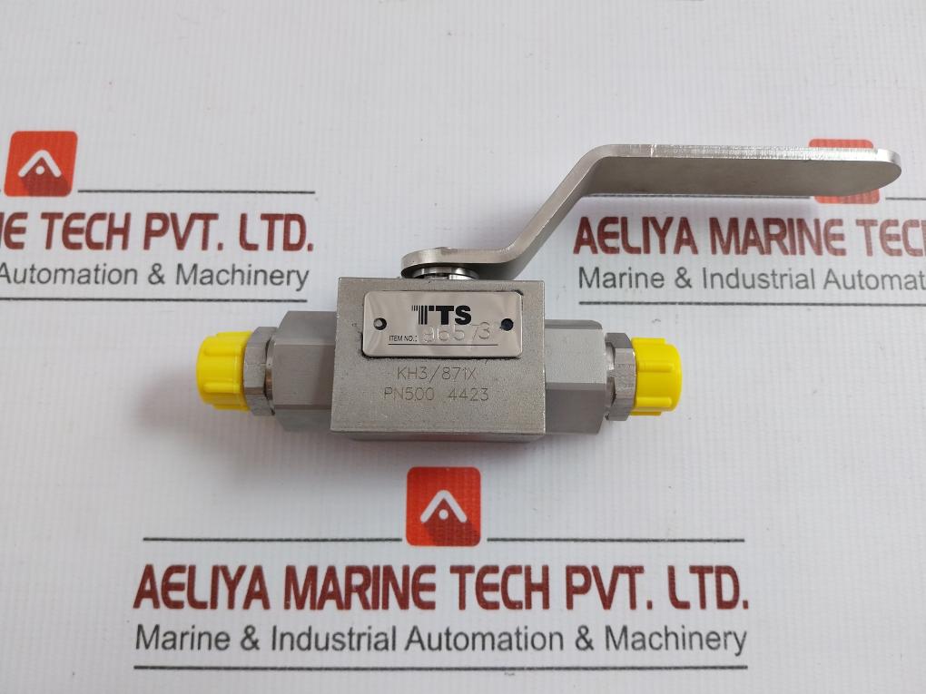 96573 Hydraulic Ball Valve Tts
