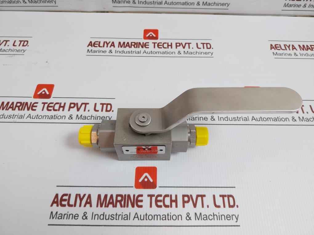 96573 Hydraulic Ball Valve Tts