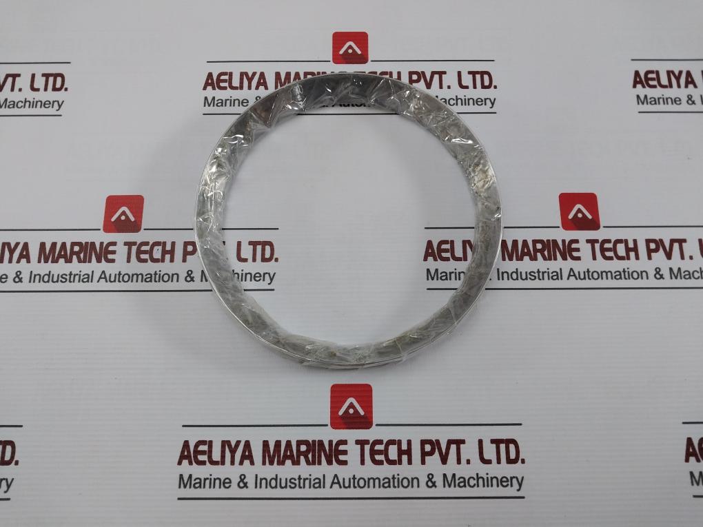 980276 Seal Ring For Main Boiler Piston Valve
