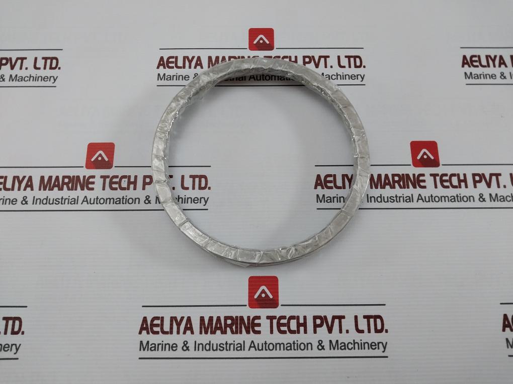 980276 Seal Ring For Main Boiler Piston Valve