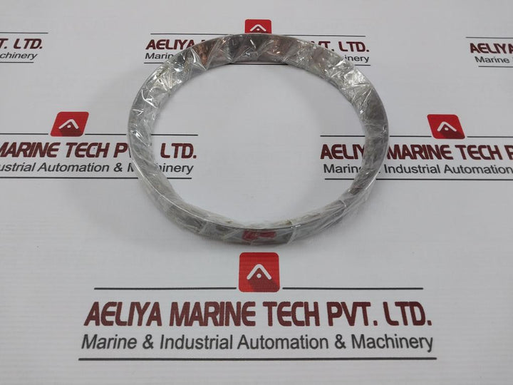 980276 Seal Ring For Main Boiler Piston Valve