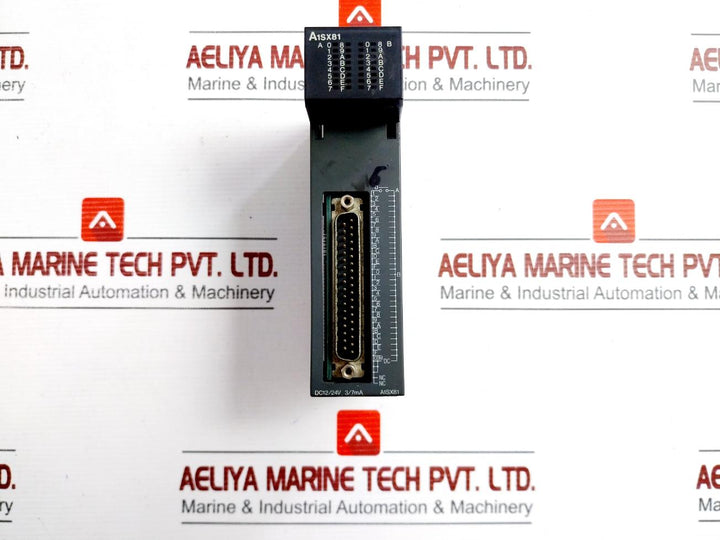 A1Sx81 Mitsubishi Dc12/24V Plc Input Module
