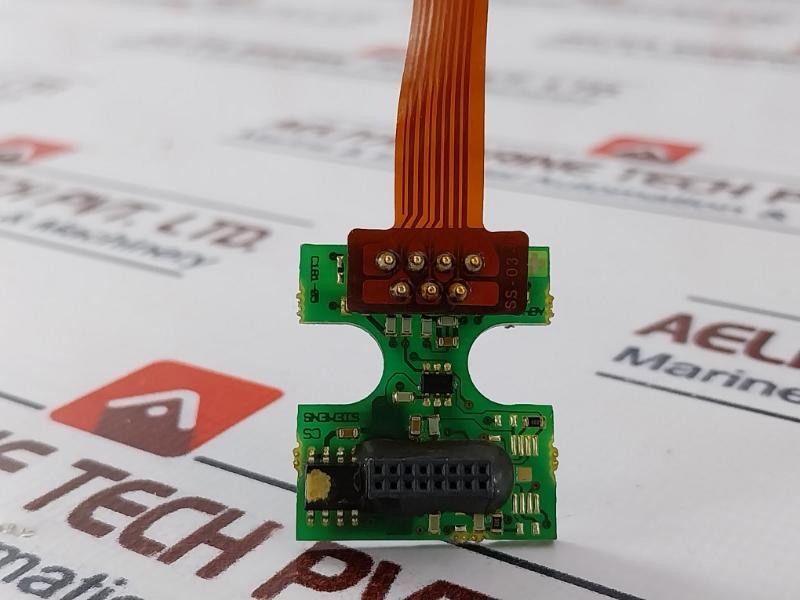 A5E00203243 Sanitary Stainless Steel Tri-Clamp Flange 99358/HE/45/10