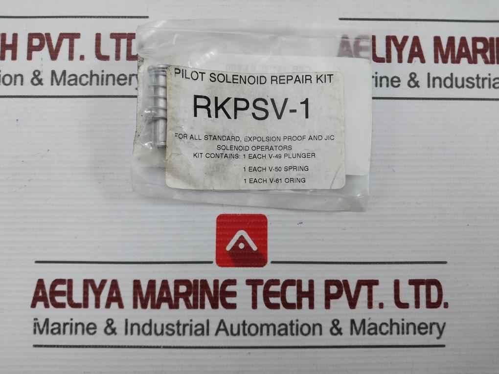 Aaa Products International Rkpsv-1 Pilot Solenoid Repair Kit