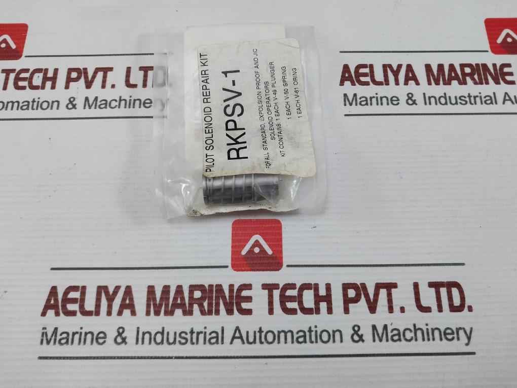 Aaa Products International Rkpsv-1 Pilot Solenoid Repair Kit
