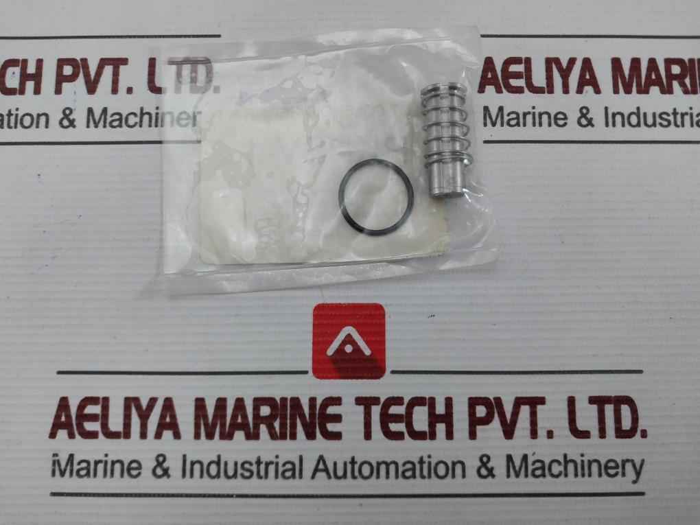 Aaa Products International Rkpsv-1 Pilot Solenoid Repair Kit