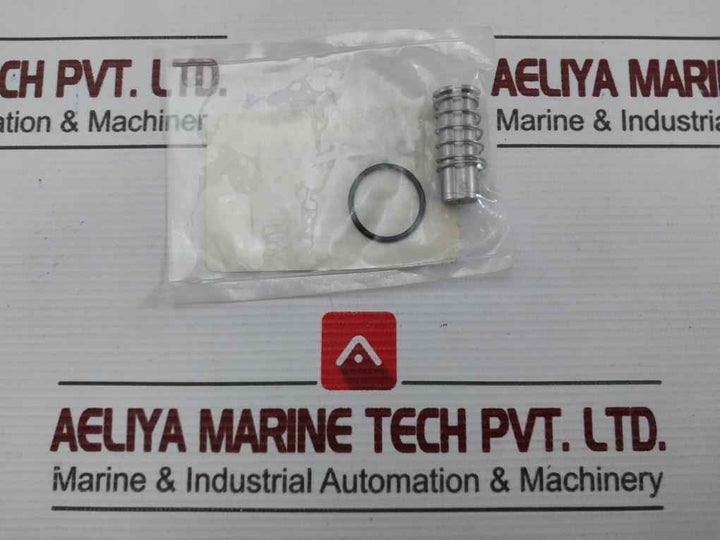 Aaa Products International Rkpsv-1 Pilot Solenoid Repair Kit