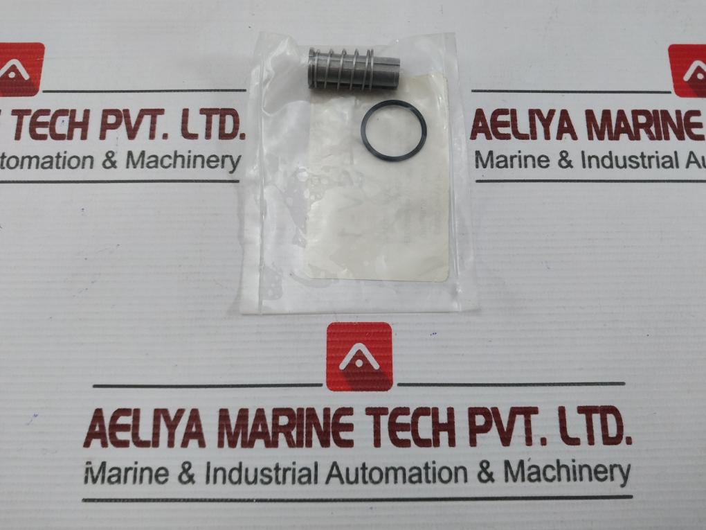 Aaa Products International Rkpsv-1 Pilot Solenoid Repair Kit