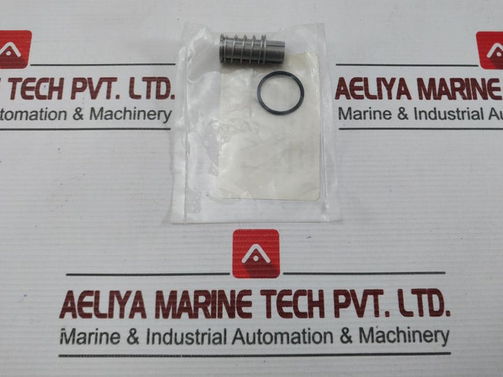 Aaa Products International Rkpsv-1 Pilot Solenoid Repair Kit