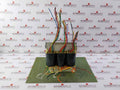 Abb 3Hac 4951-1 Transformer Rev.No: 01 3X262V 7.5A 440V