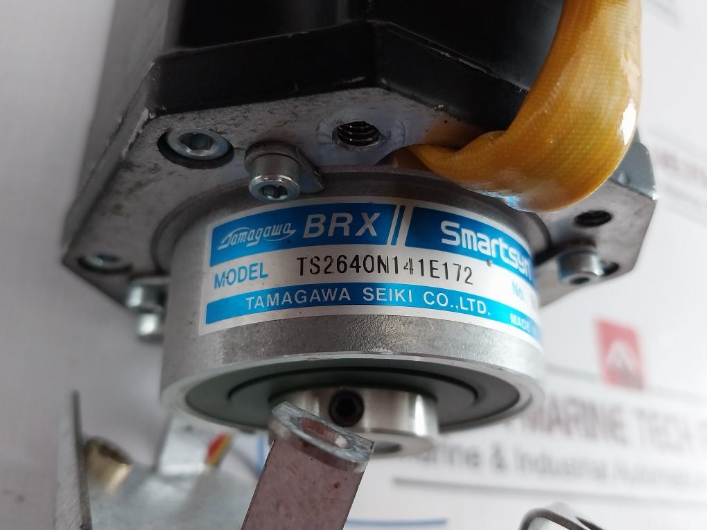 Abb 3Hnp02660-1 Servo Motor Ts2640N141E172 280608498F H41141