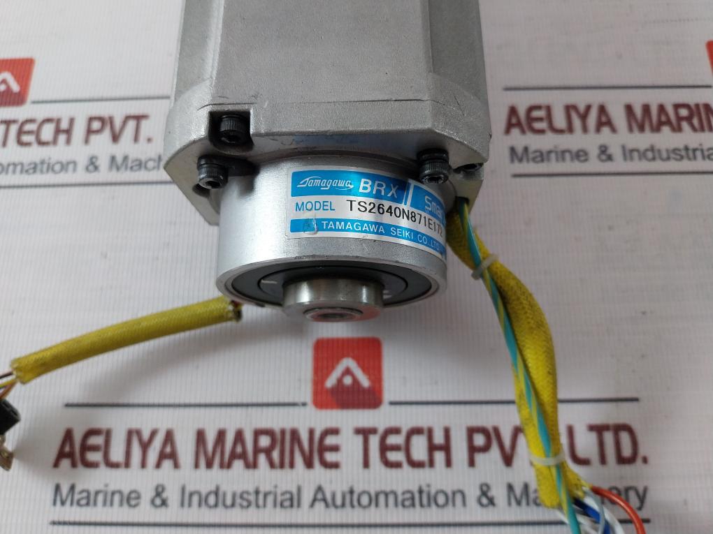 Abb 3Hnp 04378-1/01 Servo Motor 200V 4.0A Ts2640N871E172 J62786 W424/W425