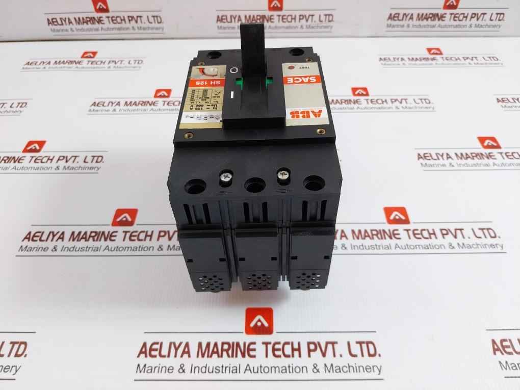 Abb Circuit Breaker Icn -50-60Hz 10 A 380 V Ith 45˚C Sh 125