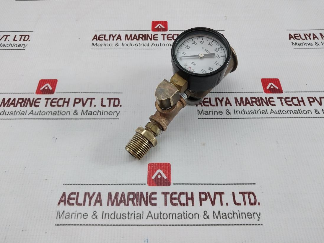 Accutek Pg-100 Sd 2 Auto-vent Gauge And Air Eliminator Assembly 0-100 Psi